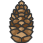 Pinecone
